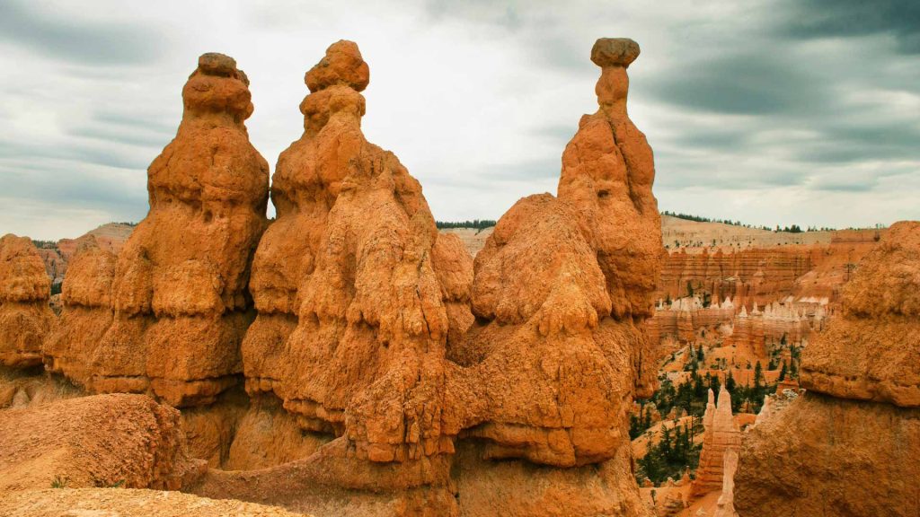 Bryce Canyon hoodoos